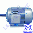 Electric Motor