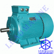 Y-H Series Three Phase Marine Motor