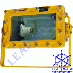 Explosion Proof Flood Light