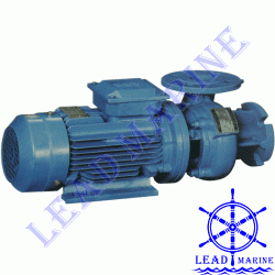 Sludge Oil Pump