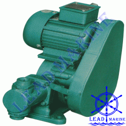 Electrical Plunger Pump