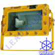 Explosion Proof Flood Light