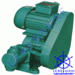 Electrical Plunger Pump